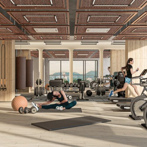 Copia de GIMNASIO -min